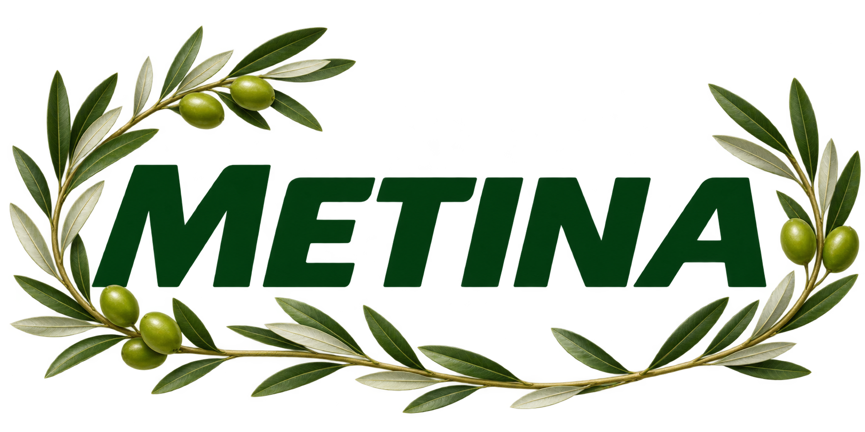 METINA